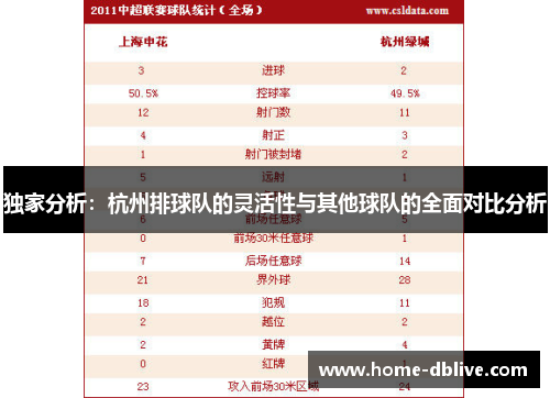 独家分析：杭州排球队的灵活性与其他球队的全面对比分析
