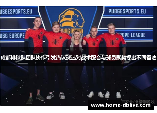 成都排球队团队协作引发热议球迷对战术配合与球员默契提出不同看法