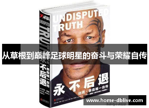 从草根到巅峰足球明星的奋斗与荣耀自传