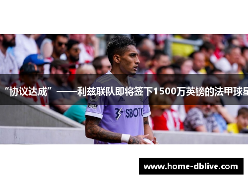 “协议达成”——利兹联队即将签下1500万英镑的法甲球星